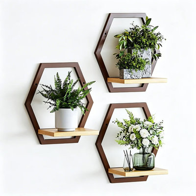 Wall-Mounted Plant Shelf Set, 3-Piece Solid Wood and Metal Hanging Plant Stand for Indoor & Outdoor Use, Modern Boho Display Shelves