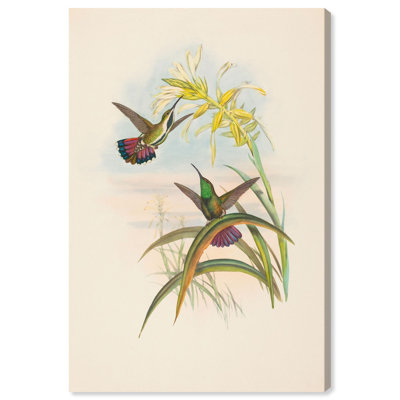 Flash of Magenta Canvas Print Botanical Art by Art Remedy