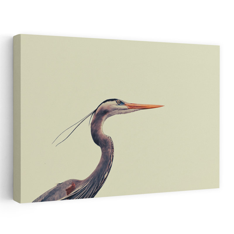 Contemporary Art Contemporary Bird Wall Art - Wrapped Canvas Print, 45.72 cm H x 30.48 cm W