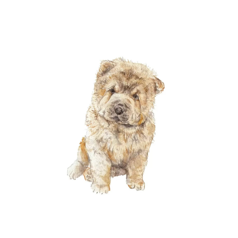 Chow Chow by Wandering Laur - Wrapped Canvas Painting, 30.48cm H x 30.48cm W x 1.91cm D