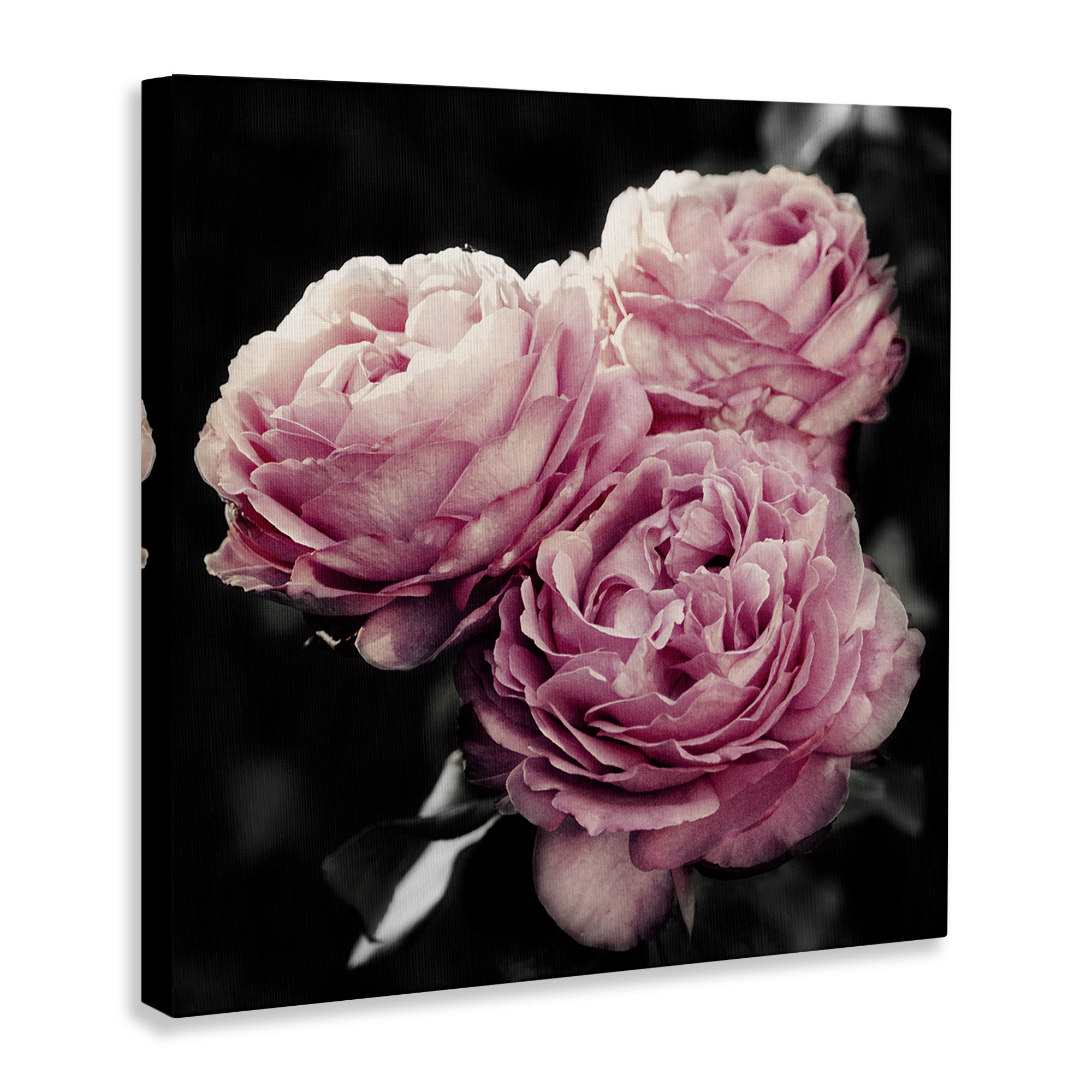 Mercer41 Full Blooming Roses Canvas Wall Art by Emily Navas | Wayfair