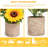 8.3 " H Faux Plant Solid Wood