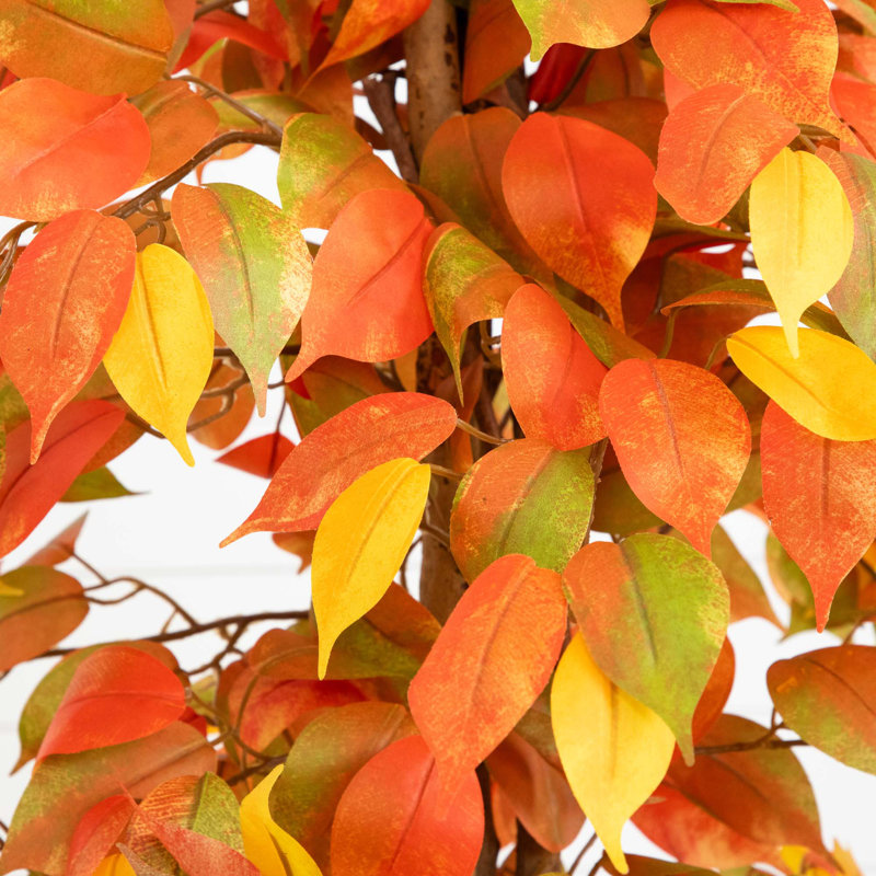10ft. Autumn Ficus Artificial Fall Tree, 36" H x 19" W x 19" D, Orange
