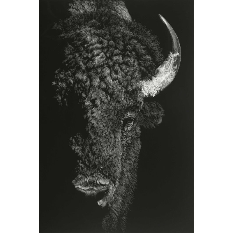 Black Glimpse I, H 48 po x l 32 po