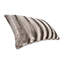 Captiva Comforter Set - Neutral-246805604