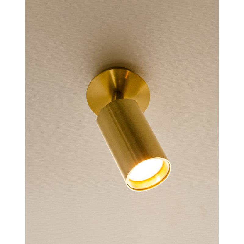 Eveleth 1-Light Wall Spotlight