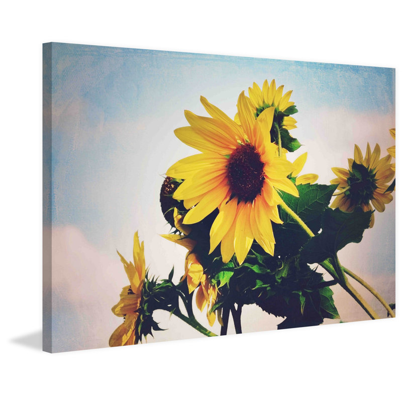 Sunflower 1 Piece Wrapped Canvas Wall Art, 76cm H x 114cm W