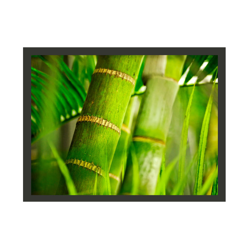Bamboo Detail 2.31m x 300cm Wallpaper, 400 cm x 309 cm