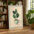 Teal Border