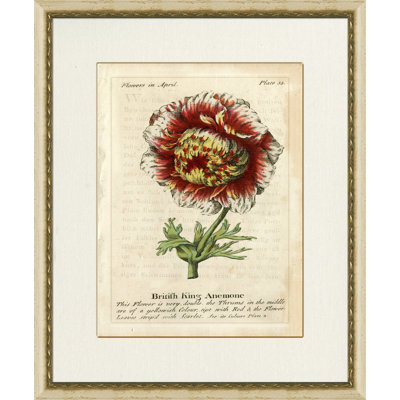 British King Anemone Painting