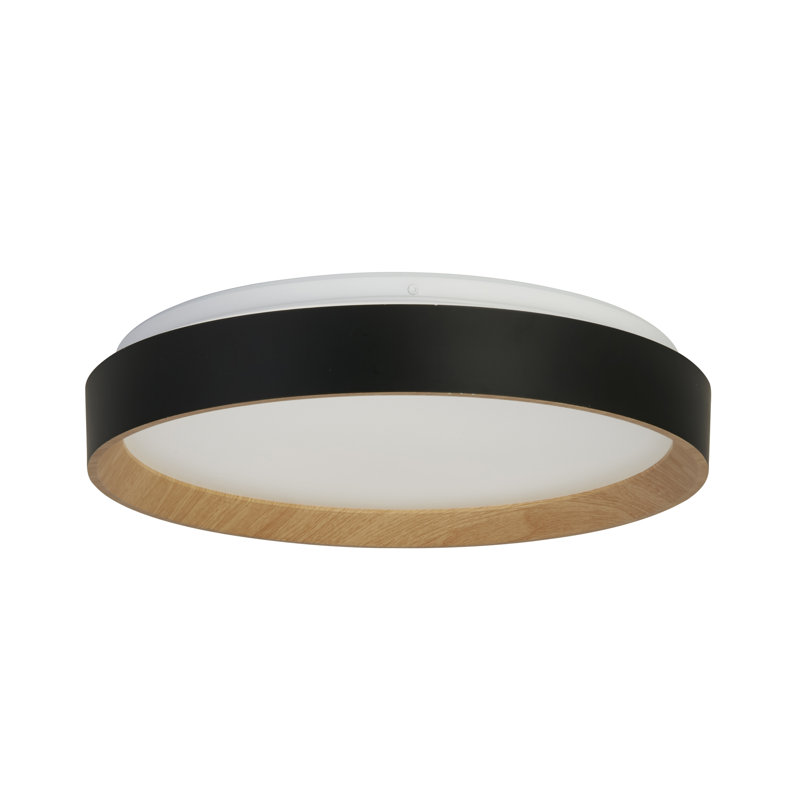 Reyanshi Plastic LED Flush Mount