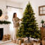 Lighted Christmas Tree-1815824218