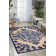 Oriental Hand Woven Indoor / Outdoor Area Rug