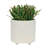 S/2 6/8" Textured Planters-501651233