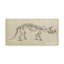 « dinosaur study ii », reproduction d’art sur toile tendue-33423491