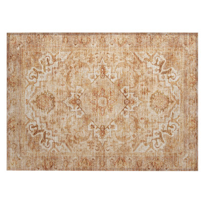 Machine Washable Indoor/Outdoor Oden ACN2164 Global Rug