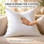 Ensemble de 2 coussins carrés carrés blancs - housse 100% coton, 10% duvet 90% plumes, plusieurs tailles-93653225