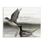 «Long Tailed Duck», art mural par Jadei-1377954822