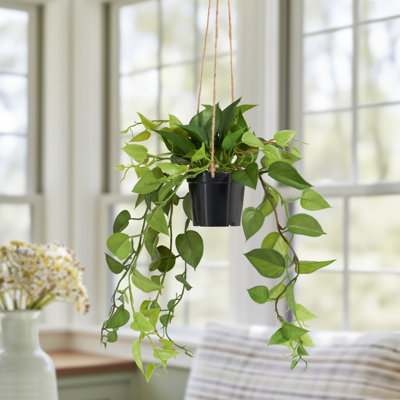 Fausse plante en pot suspendue avec support à cordes