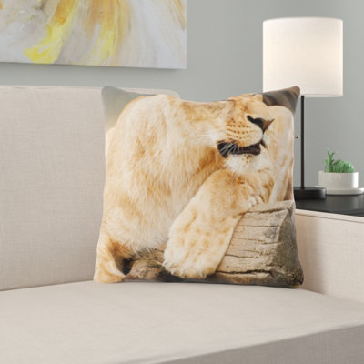 Coussin en afrique