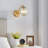 Andrek Glass Globe Wall Sconce