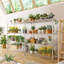 Yelena 180 cm W Shelving Unit-1179672862