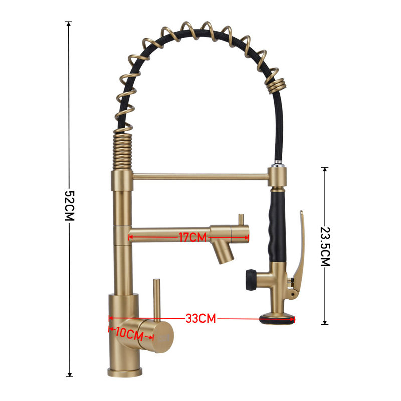 Belfry Kitchen Burhill Pull Out Kitchen Faucet, Goid