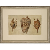 Crackled Triple Shell 2 Painting