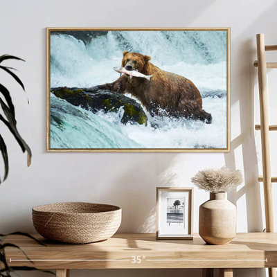 Pêche à l'ours simple