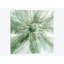 «Macro Sage Flower», impression sur toile-30008575-72425488-72425493