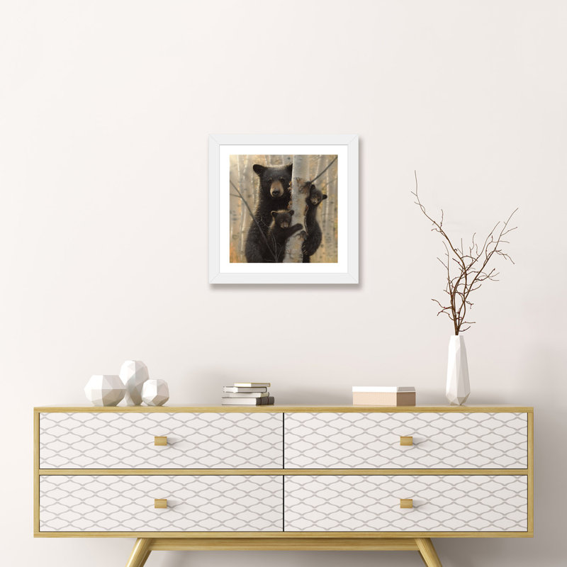 «Mama Black Bear» par Collin Bogle Print, H 16 po x l 16 po x P 1 po, Papier encadré blanc
