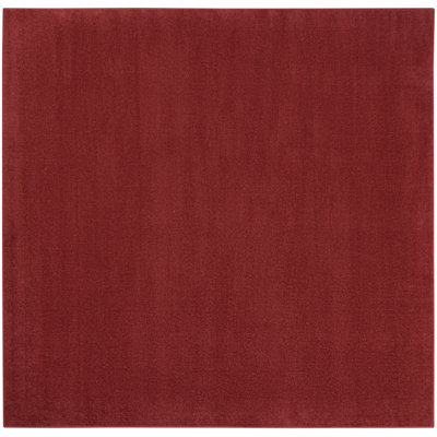 Tapis rouge intérieur / extérieur Nourison Essentials