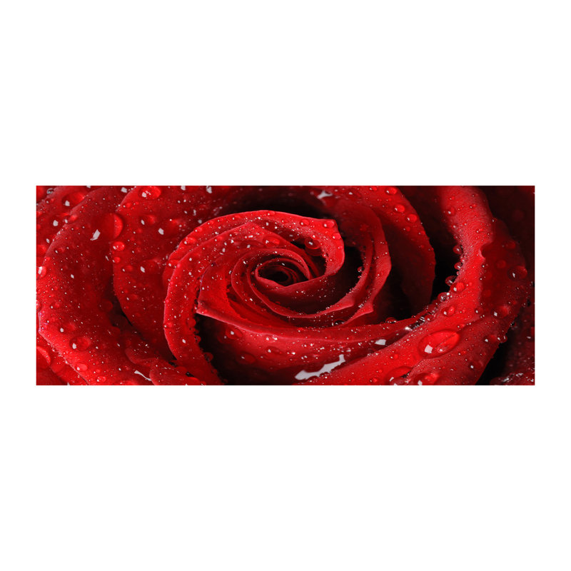 Drops On A Rose - No Frame Print on Glass, Glass, 70cm H x 100cm W x 4cm D
