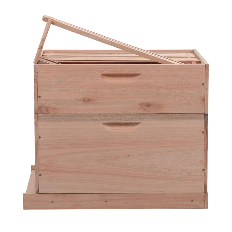 Ensemble de ruche Beethoven Kayleana avec 20 cadres, méticuleusement fabriqué à partir d'eucalyptus durable