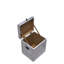 Elio Metal Trunk / End Table