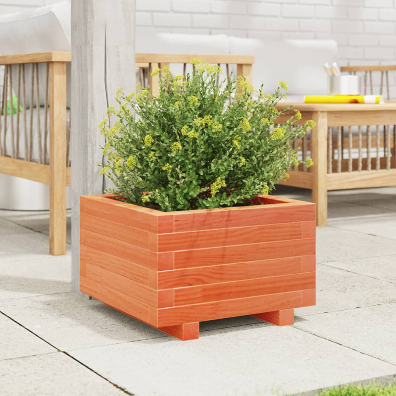 Bhavika Planter Box, 10.43" H x 15.75" W x 15.75" D, Wax Brown