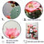 Cactus Raspberry Reserve - Cactus, reproduction d'art sur toile-1215027010-1171834104