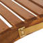 200cm Long Reclining Acacia Single Chaise