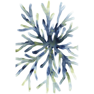 Liquid Coral II