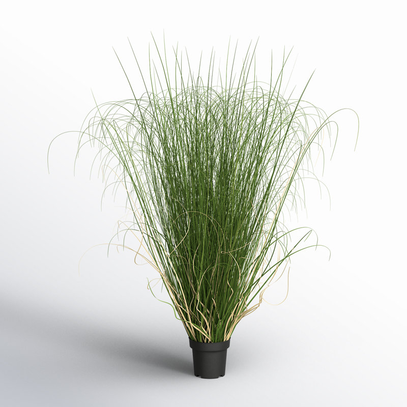 Kellan PVC Artificial Potted Green Curled Grass, 60" H x 30" W x 30" D