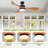 Geremias 52'' Ceiling Fan with LED Lights
