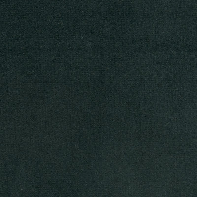 Velvet Bottle Green Sample