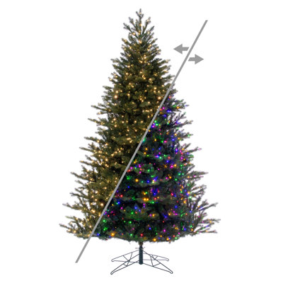 10' x 58" Washington Fraser 3mm 2250CC