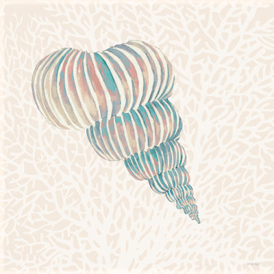 " Miami Vibe Seashell 1 "