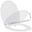 Anthracite Plastic Standard Adjustable Armrests Toilet Seat-1215608315