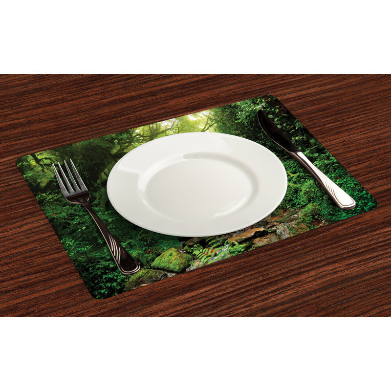 Récapitulatif 18,5" rainforest