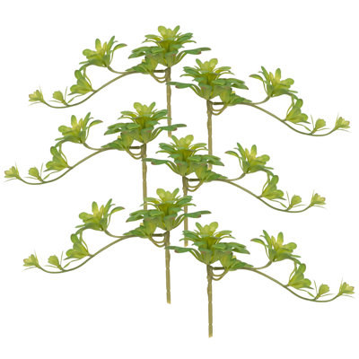 Fausse double succulentes Dudleya - ensemble de 6 - vert