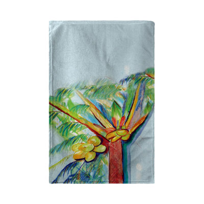 Dish Cloth Kitchen Towel
