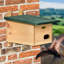 VOBU nesting box for swifts