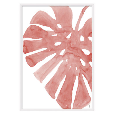 Nature Hoja Coral by César Ortiz Echagüe - Single Picture Frame Painting